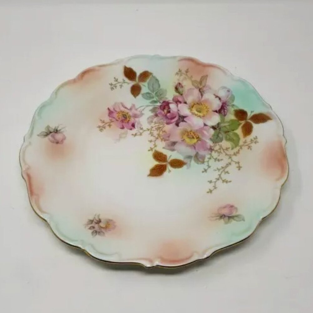 Vintage VTG Schumann Arzberg Germany #35 Wild Rose Bavaria Porcelain 12" Plate